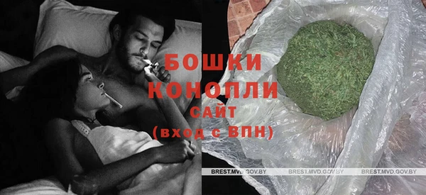 молекула духа Белокуриха