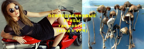 прущая мука Белоозёрский