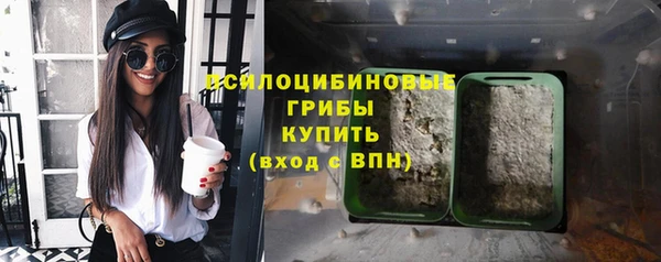 молекула духа Белокуриха