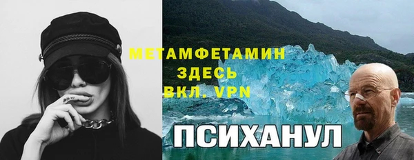 молекула духа Белокуриха